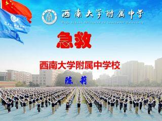 《安全用药与急救》第二课时:《急救》