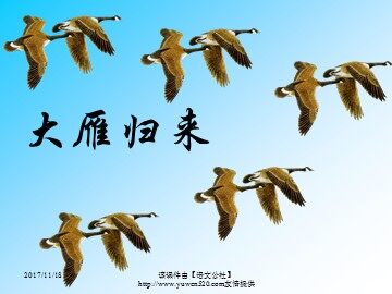14＊大雁归来