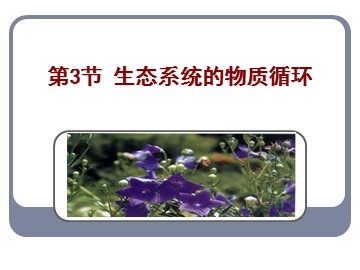生物高中必修3第五章第三节课件7
