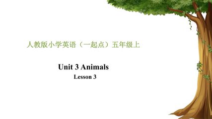 【课件】5年级上册英语人教版新起点Unit 3 Lesson 3 01