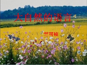 16 大自然的语言