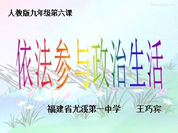 依法参与政治生活 (2)