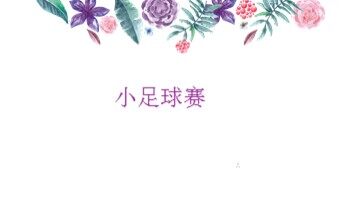 8  小足球赛