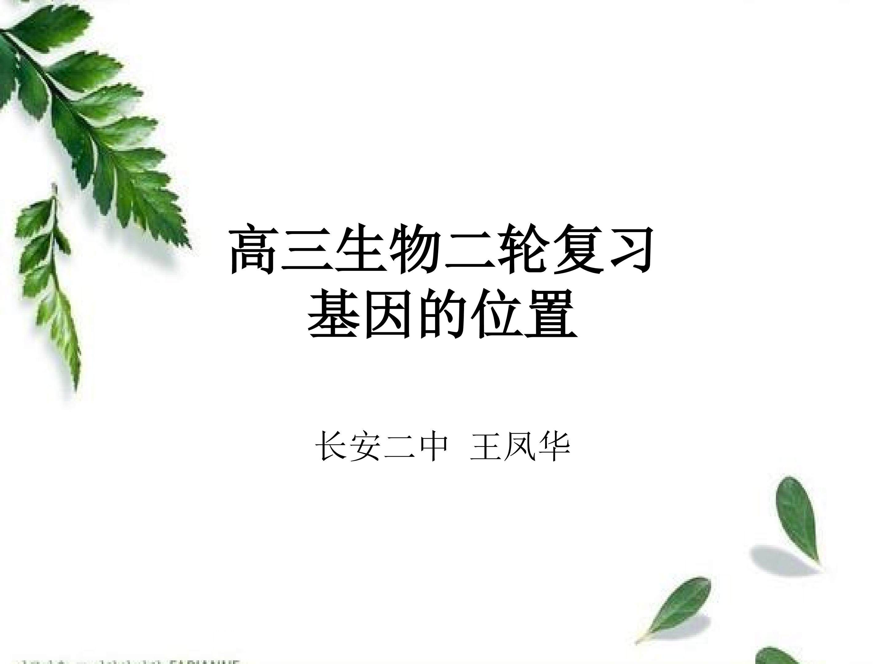 高三生物二轮复习基因位置的判断