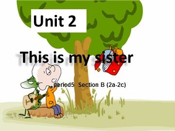 Section B