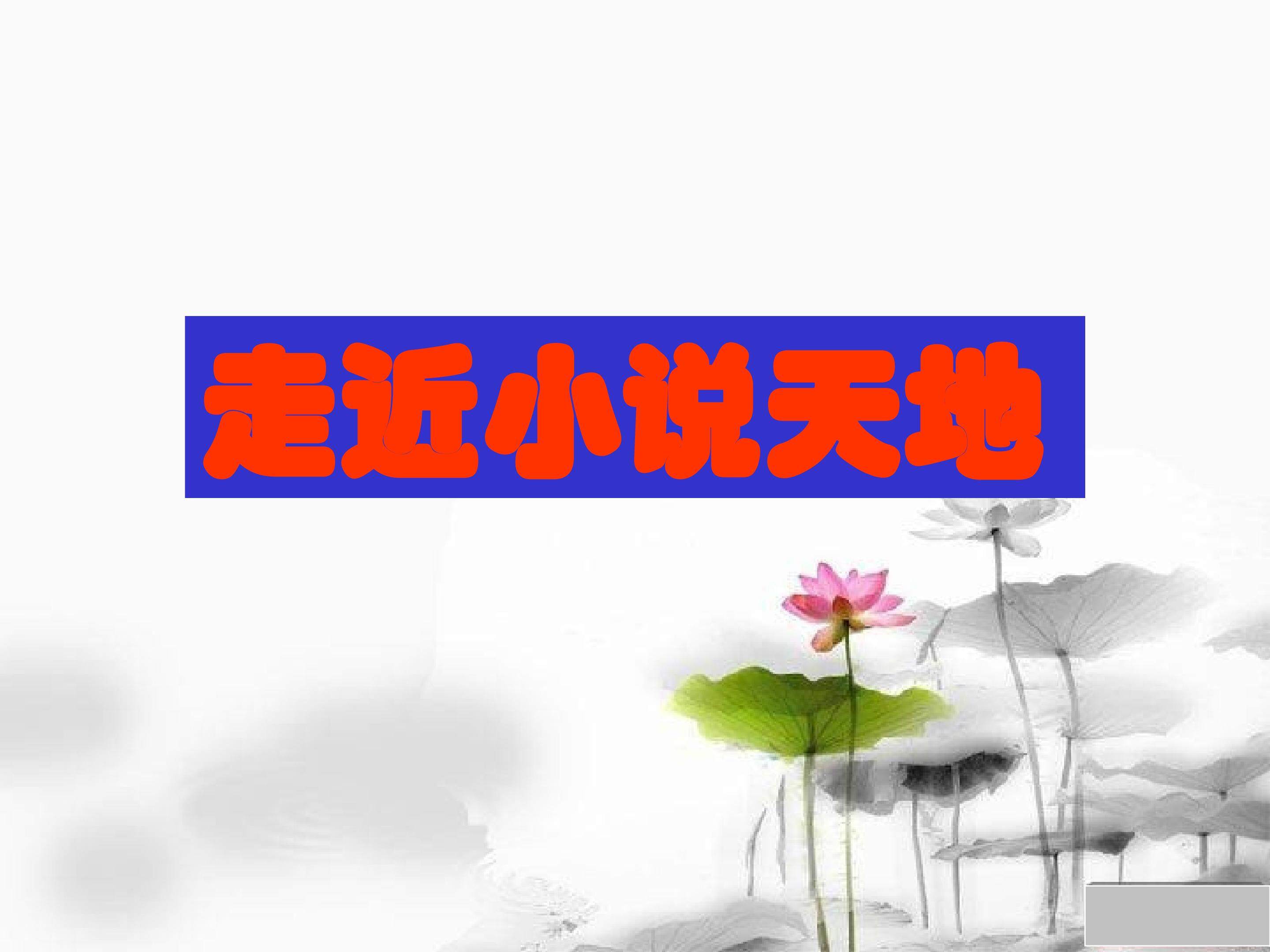 综合性学习  走进小说天地