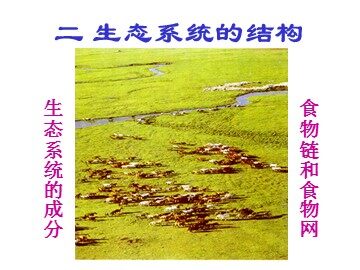 生物高中必修3第五章第一节课件10