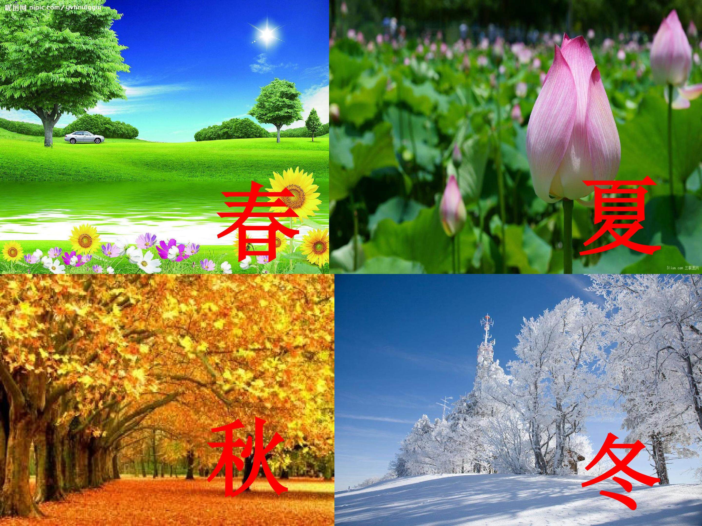 《秋天》多媒体课件设计