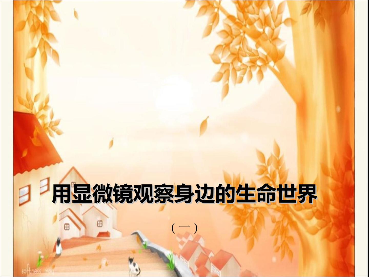 用显微镜观察身边的生命世界(一) 课件1