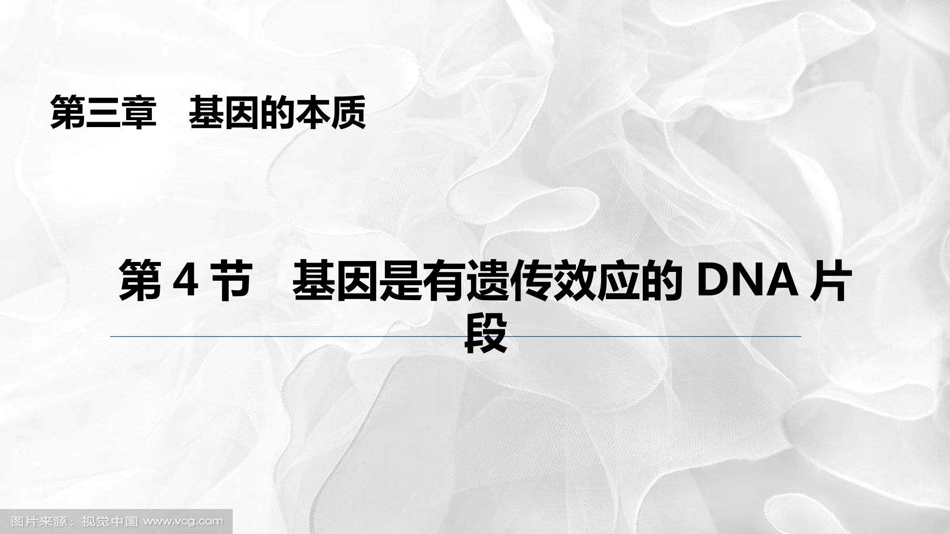 科学·技术·社会  DNA指纹技术