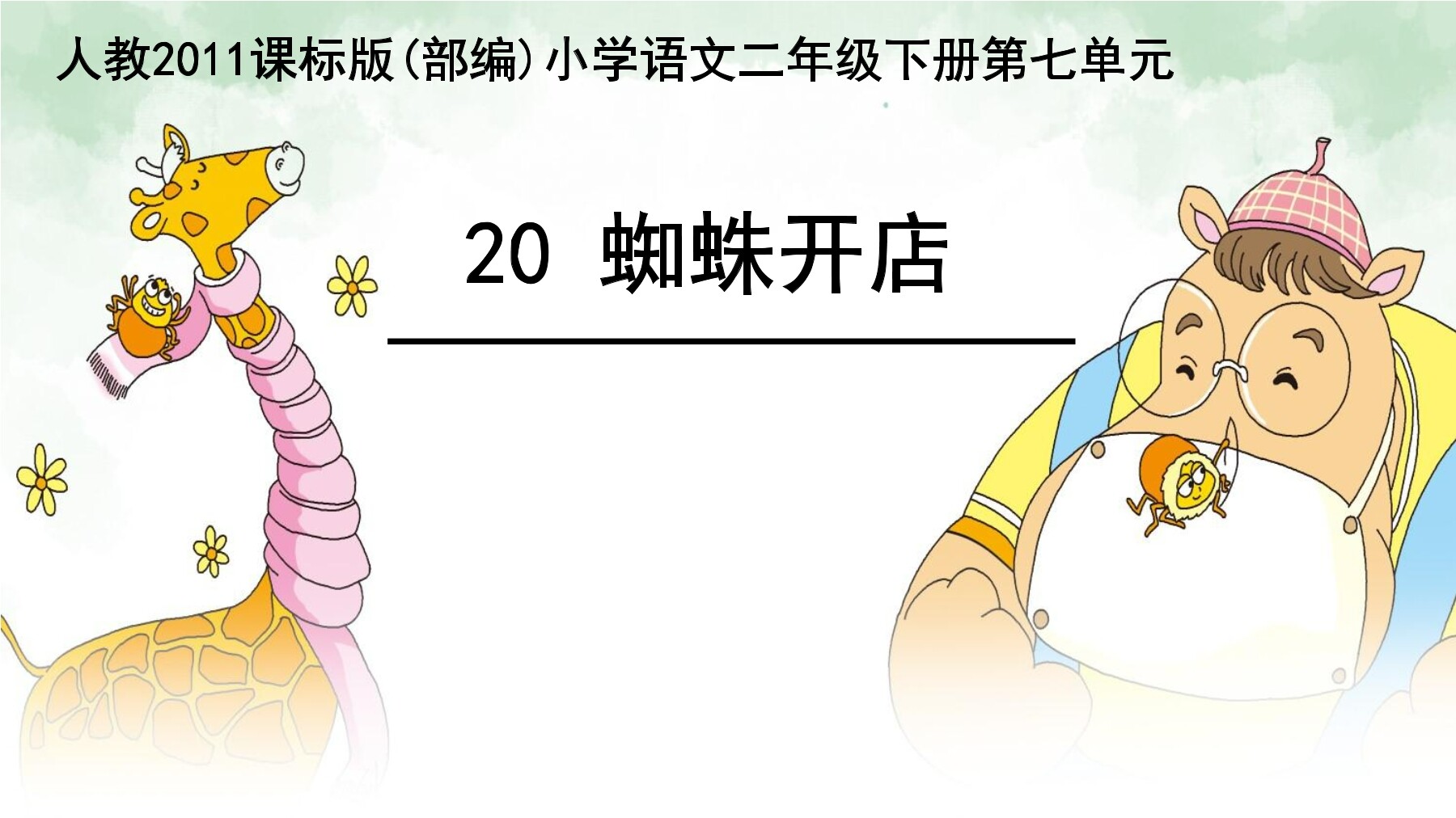 蜘蛛开店