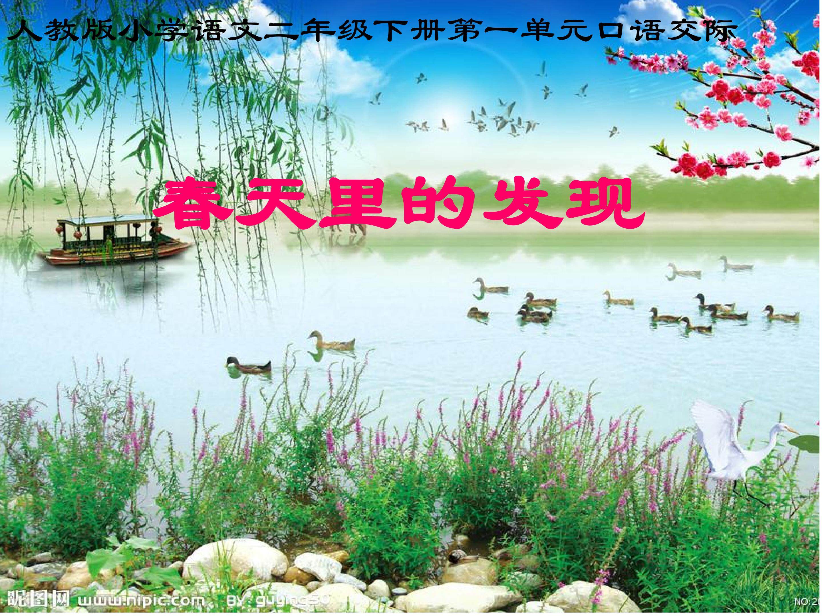 春天里的发现