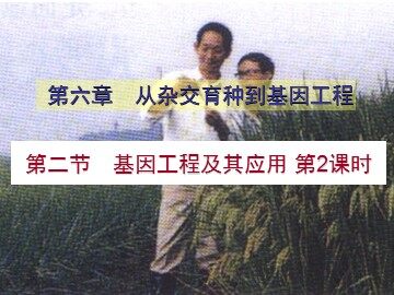 生物高中必修2第六章第二节第二课时课件