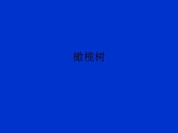 橄榄树_课件1