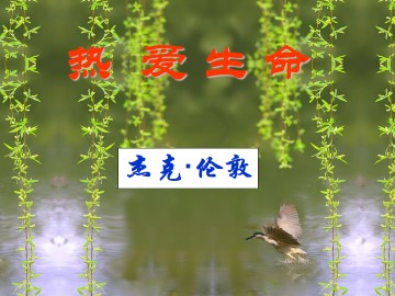 热爱生命（节选）_课件1