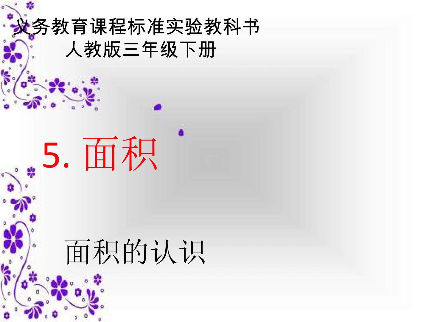 认识面积