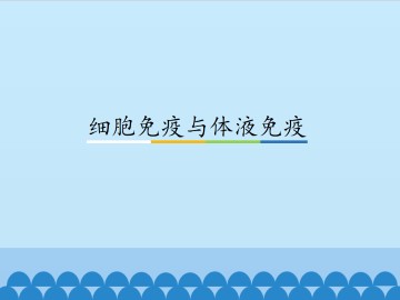 细胞免疫与体液免疫_课件1