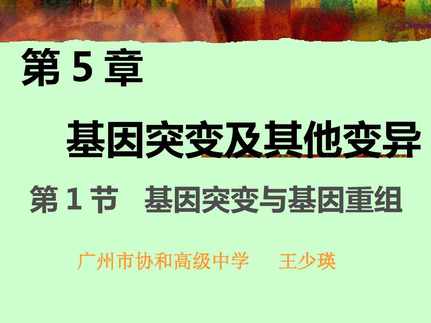公开课基因突变和基因重组课件