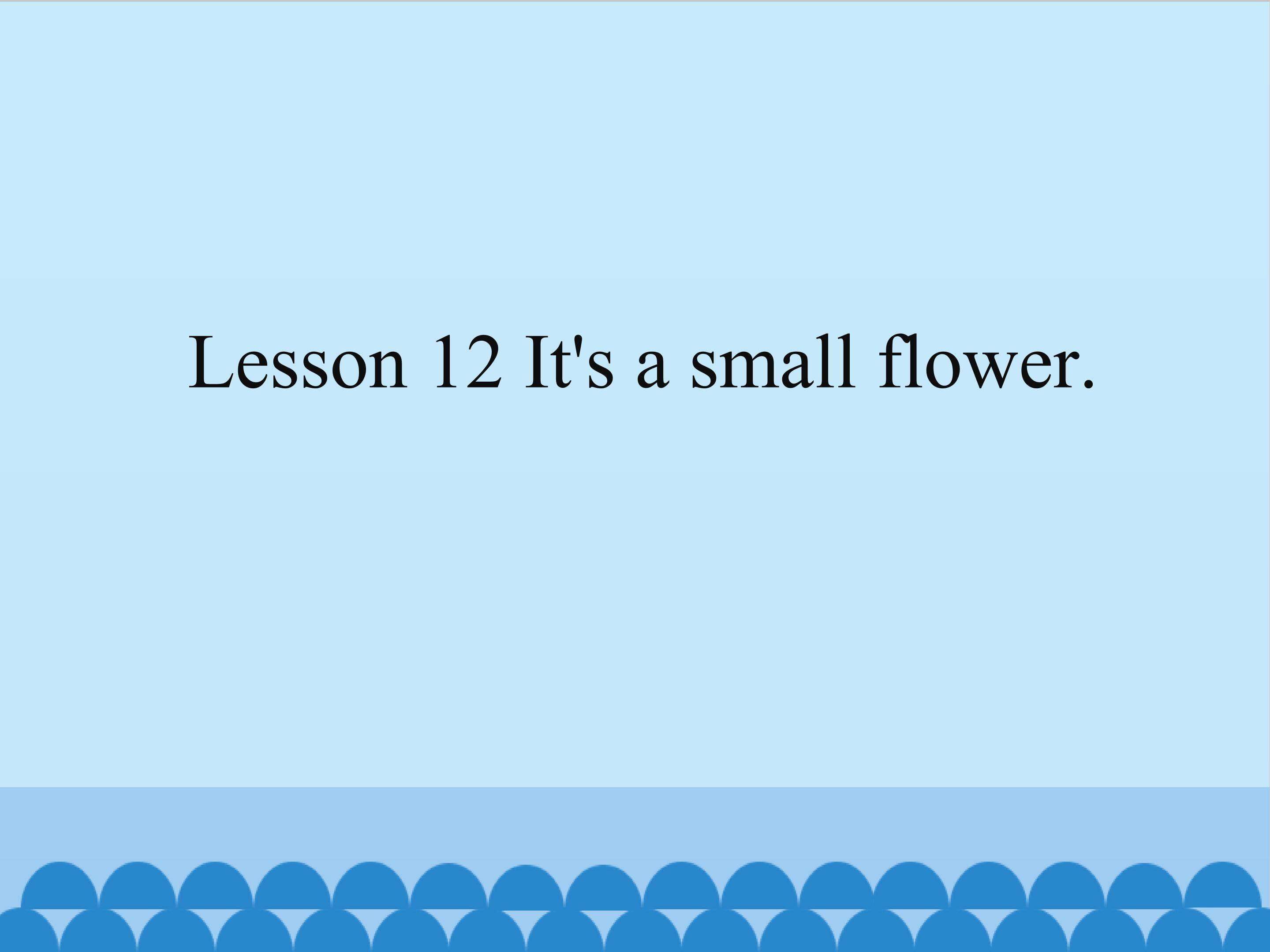 Lesson 12 It's a small flower