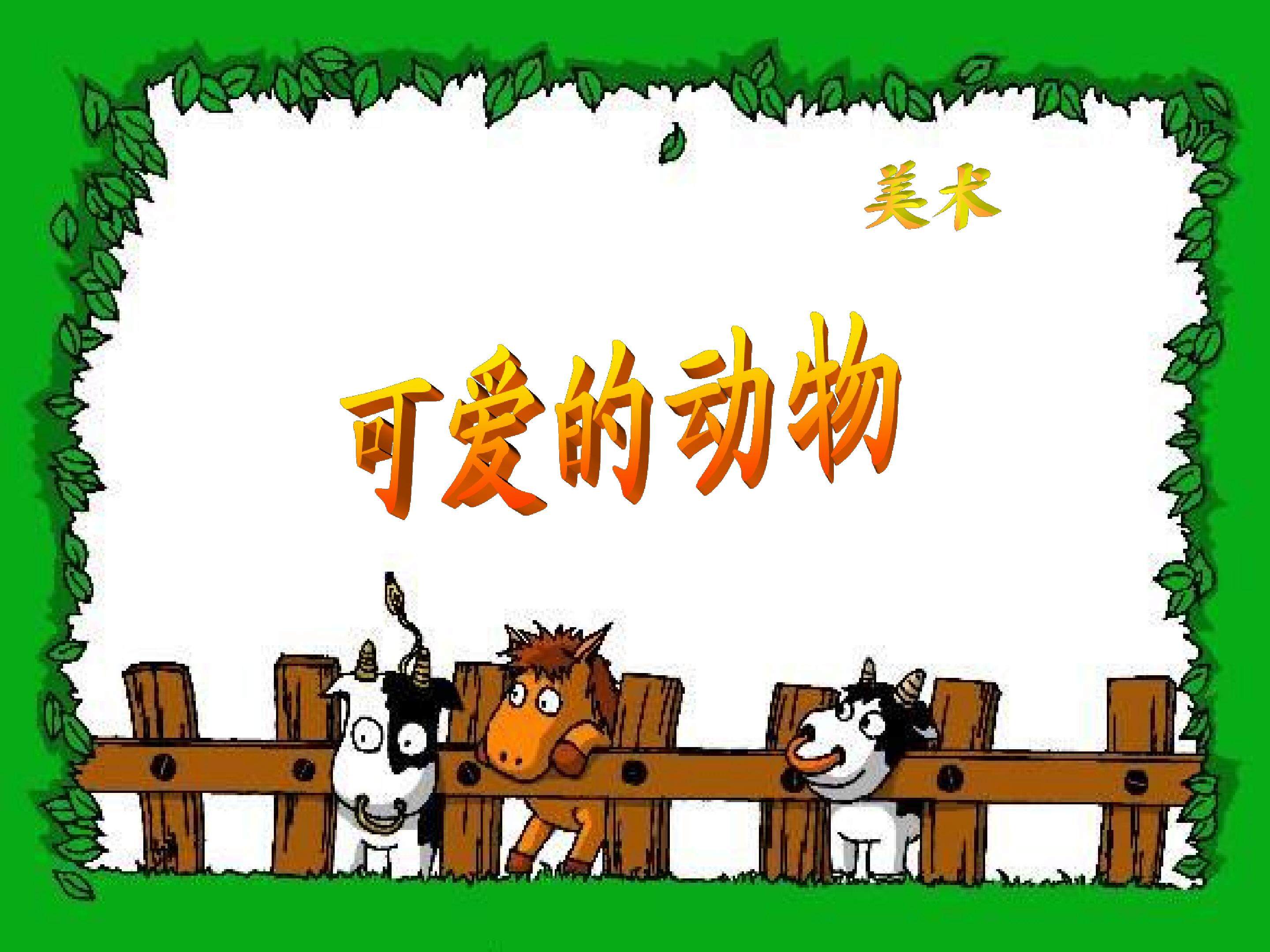 可爱的动物