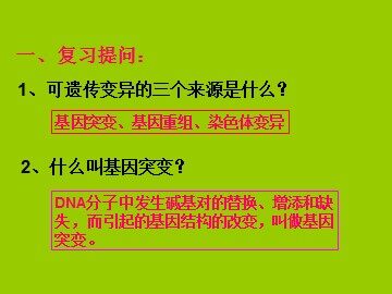 生物高中必修2第五章第三节课件5