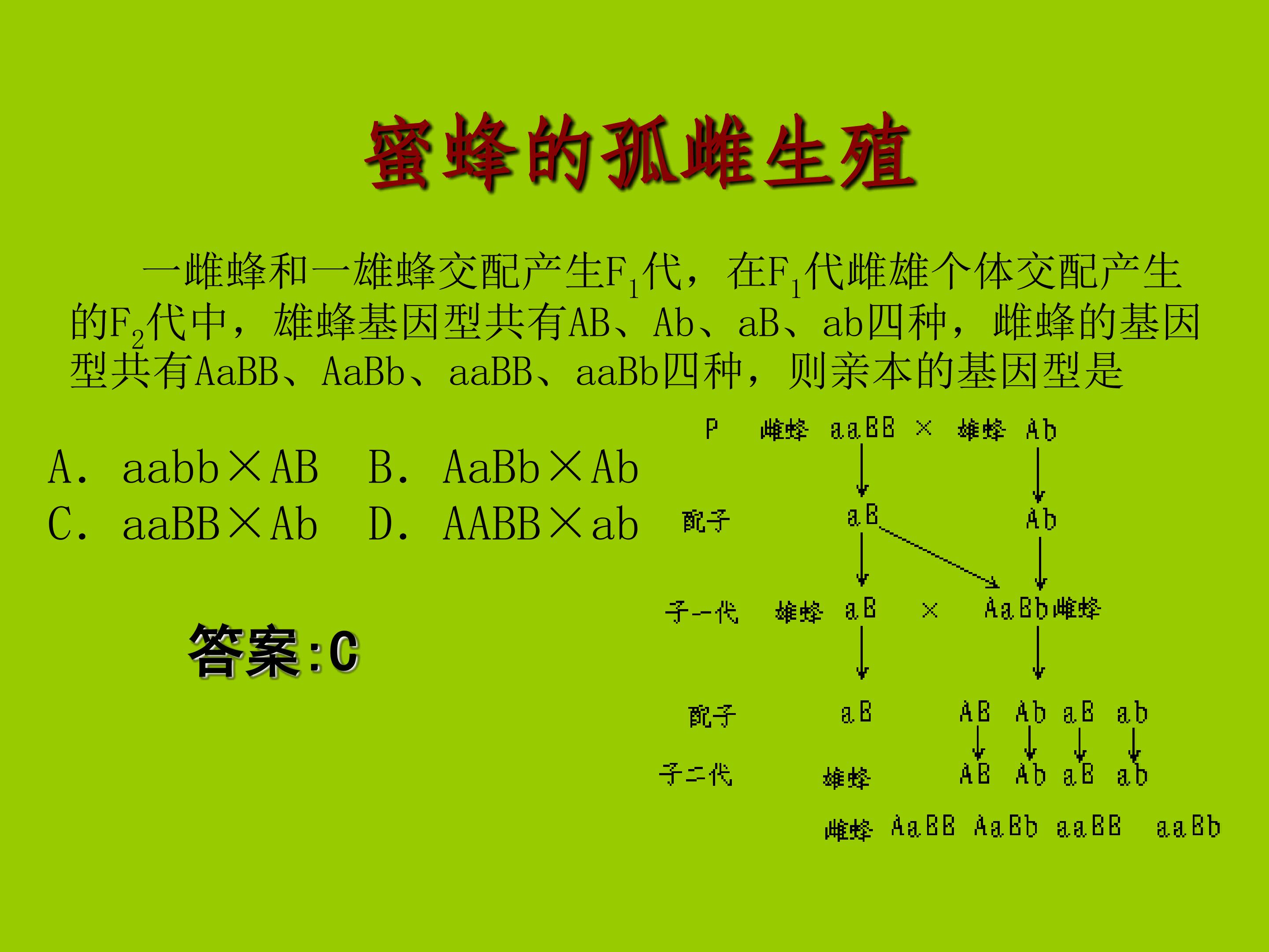 55.jpg