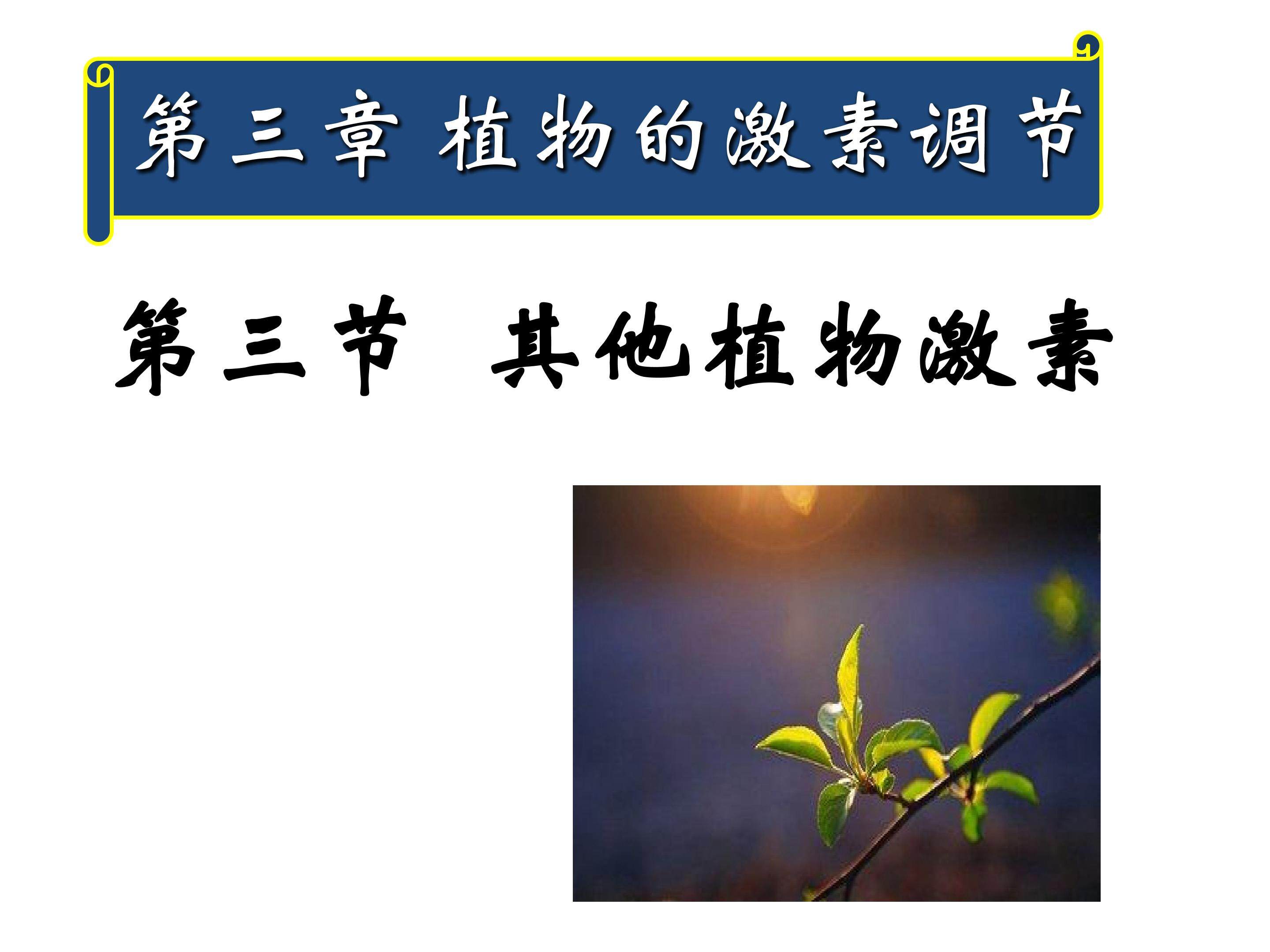 其他植物激素