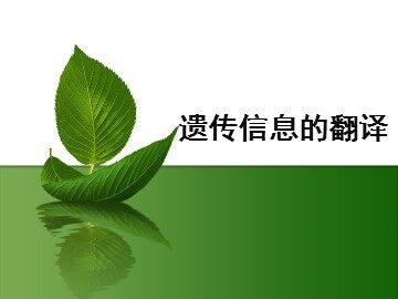 第1节  基因指导蛋白质的合成