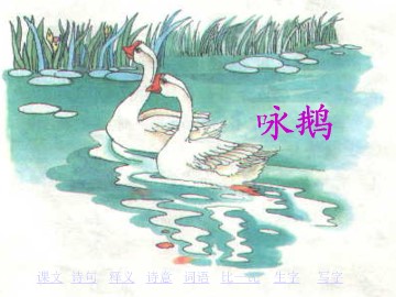 咏    鹅_课件1