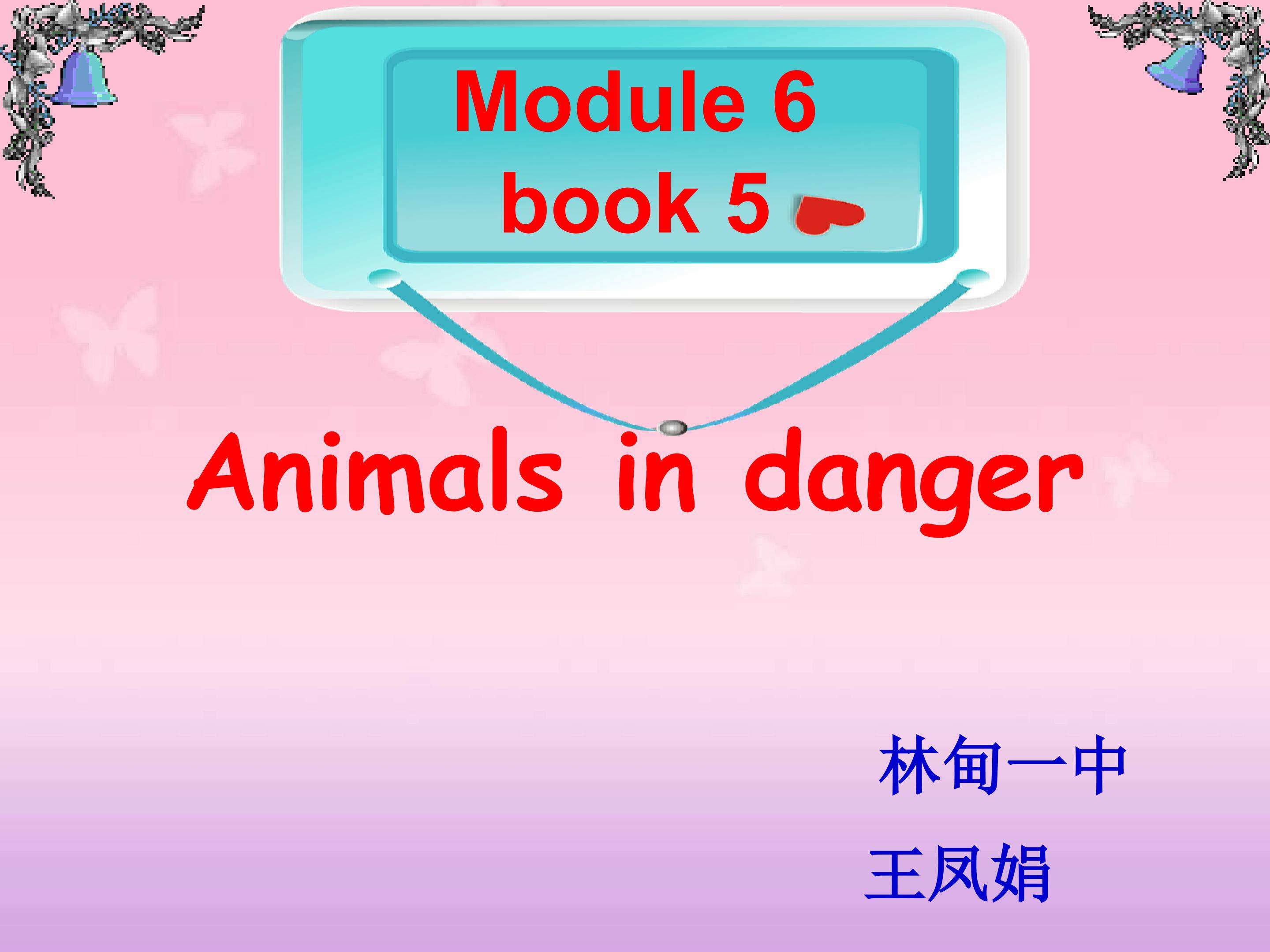 Animals in danger
