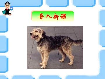 10 比尾巴