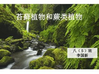 植物的主要类群第2课时(苔藓植物和蕨类植物)