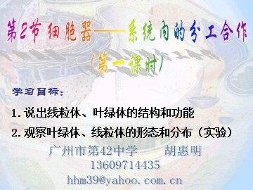 生物高中必修1第三章第二节第一课时课件3