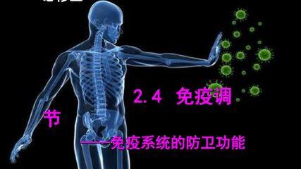 免疫系统的防卫功能