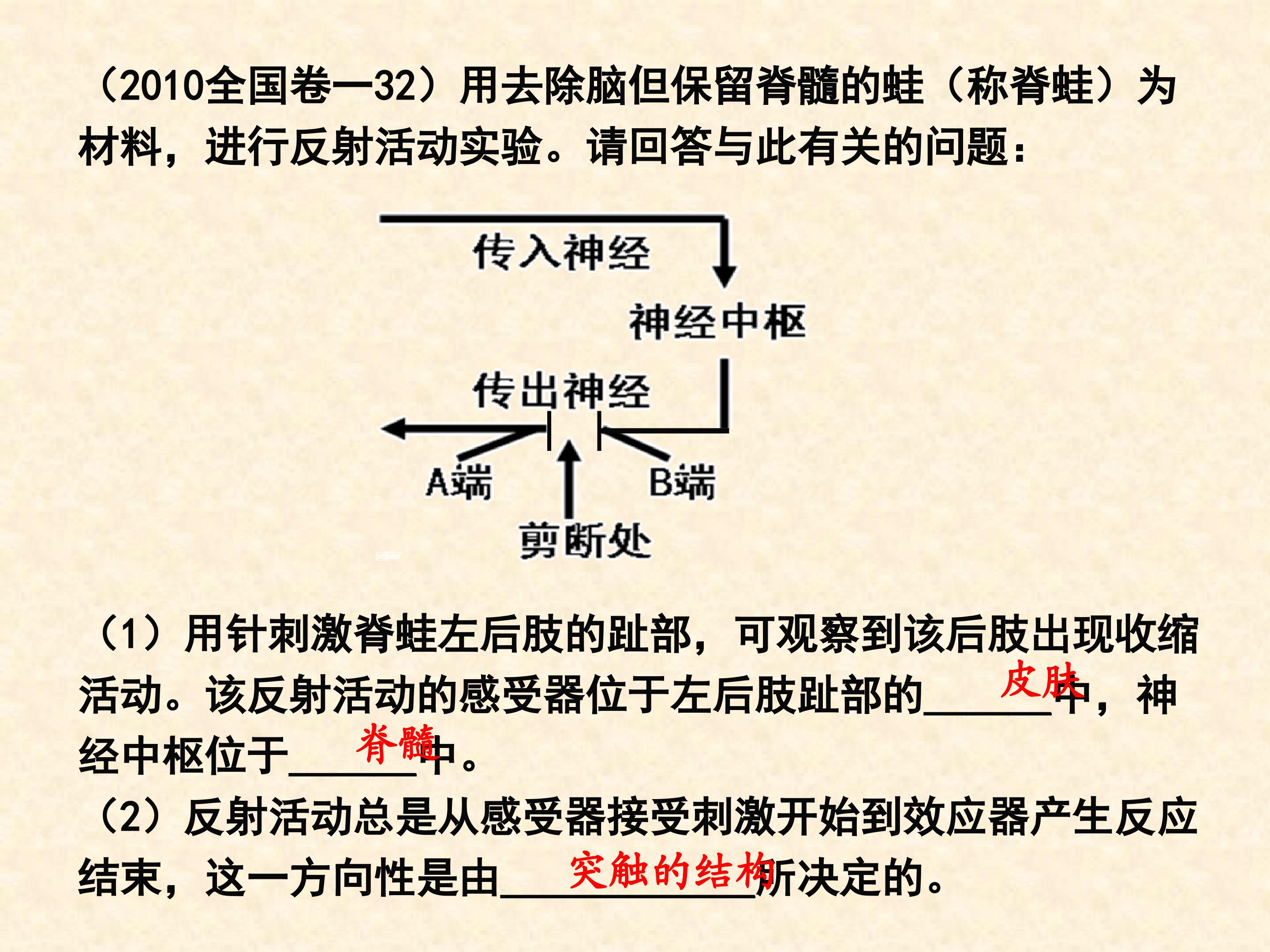46.jpg