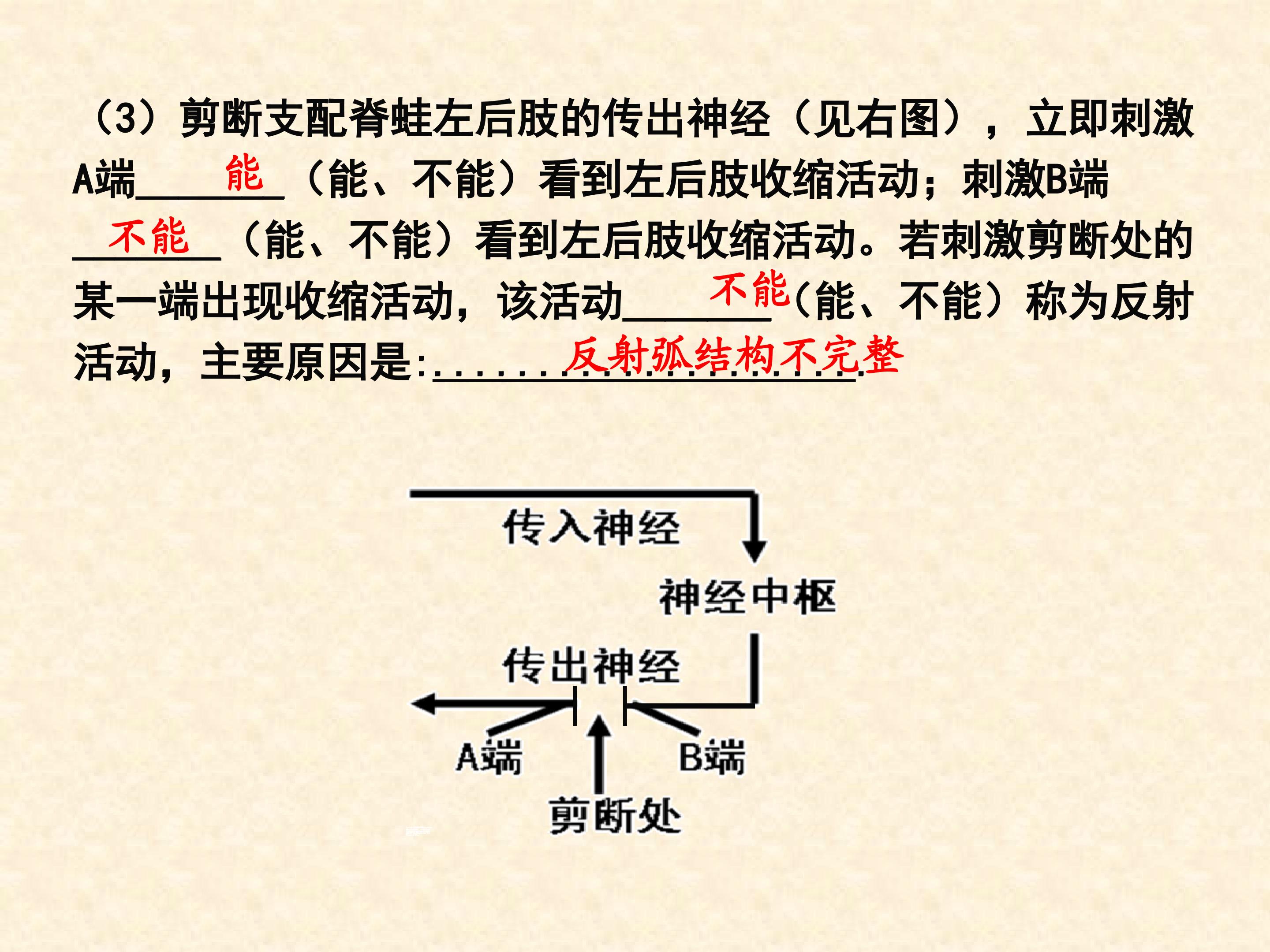 47.jpg