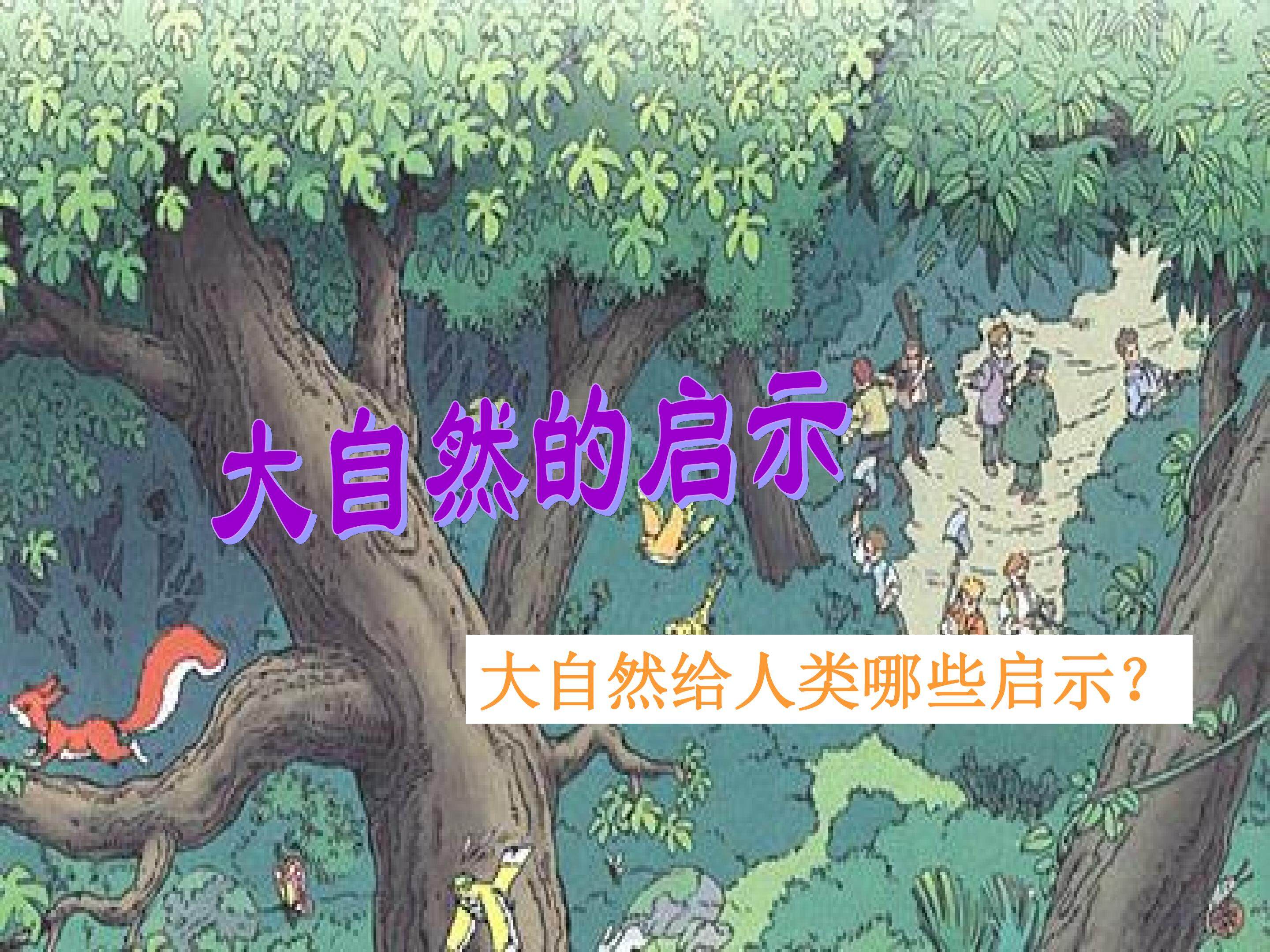 大自然的启示