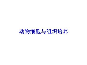 动物细胞与组织培养_课件1