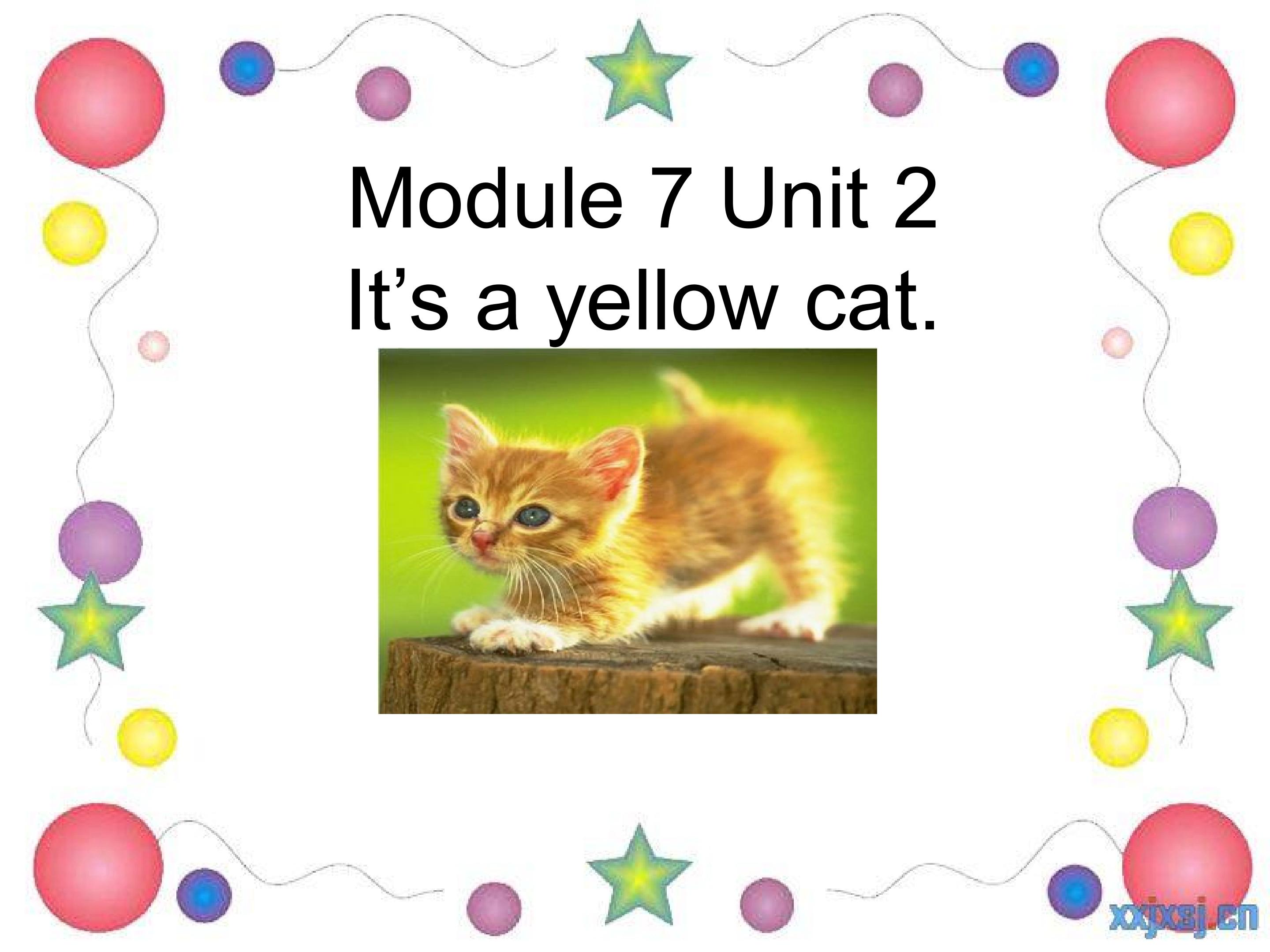 Module7Unit2 It's a yellow cat.