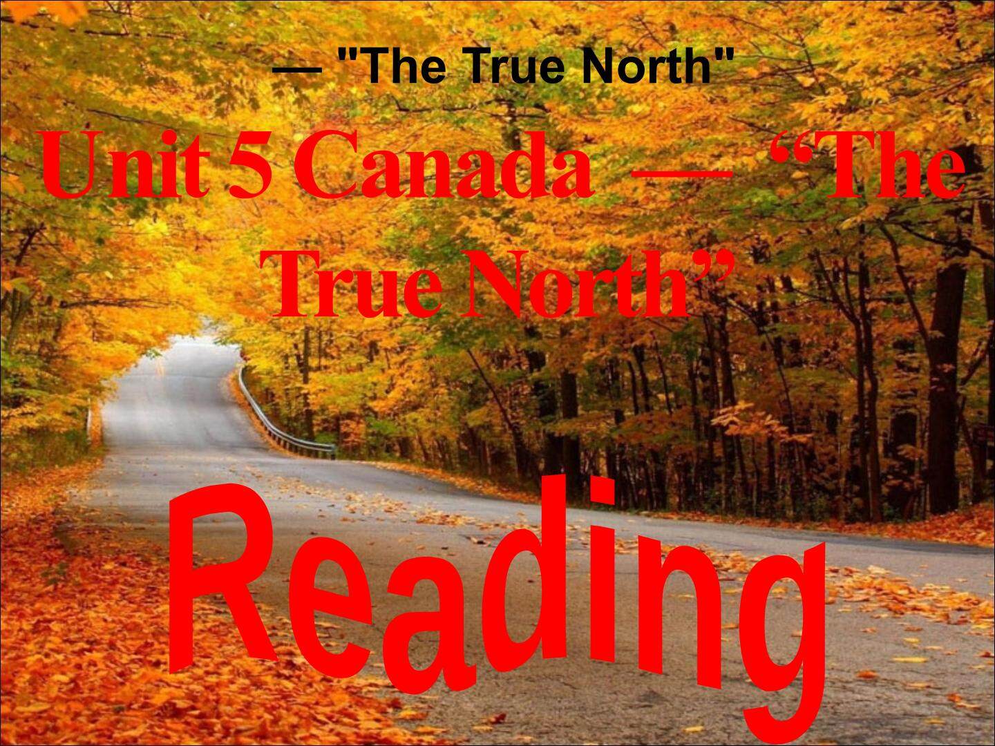 人教版新课标高中英语必修3 U5 reading&warming up