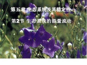 生物高中必修3第五章第二节课件11