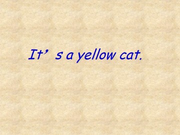 It's a yellow cat._课件1