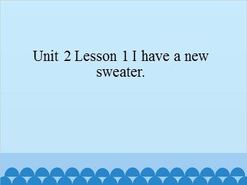 Unit 2 Lesson 1 I have a new sweater_课件1