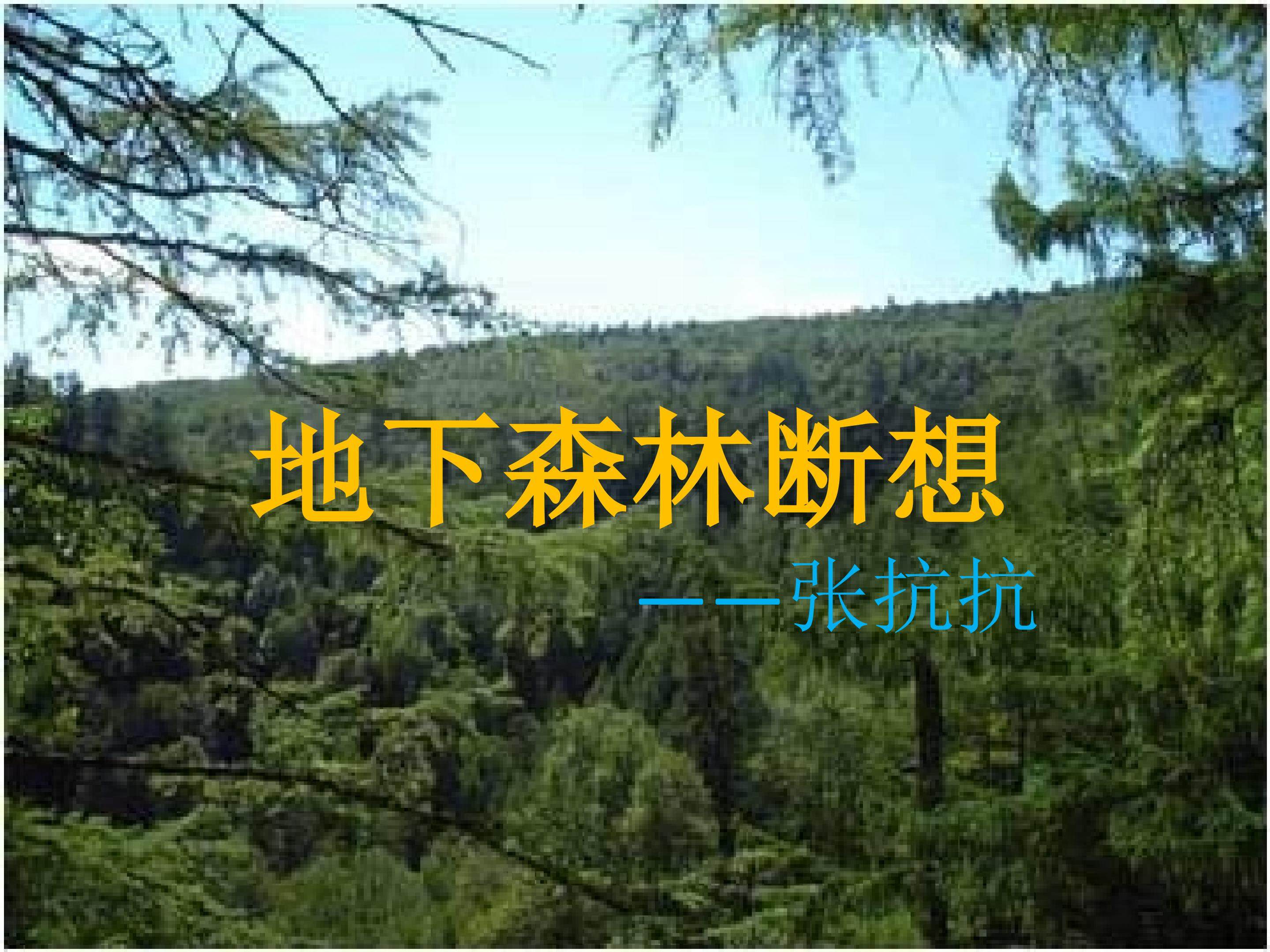 地下森林断想
