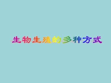 生物生殖的多种方式_课件2