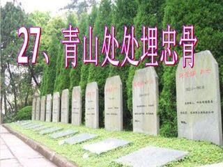 青山处处埋忠骨