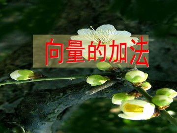 向量的加法_课件1