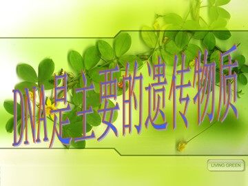生物高中必修2第三章第一节课件2
