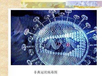 蛋白质和核酸_课件1