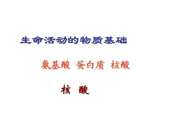 氨基酸 蛋白质 核酸_课件1